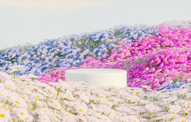 istock Abstract spring flowers landscape scene with white podium. 3d rendering. 2205849790