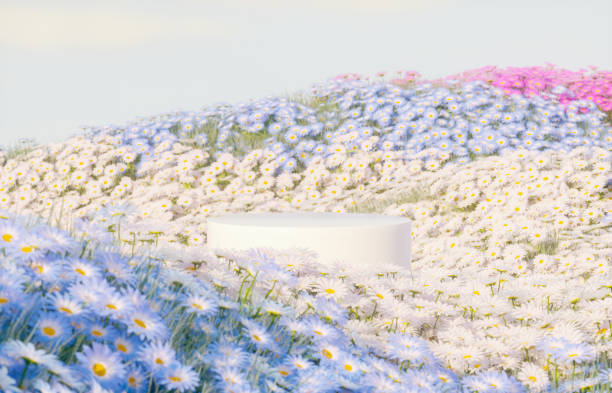 istock Abstract spring flowers landscape scene with white podium. 3d rendering. 2205849796
