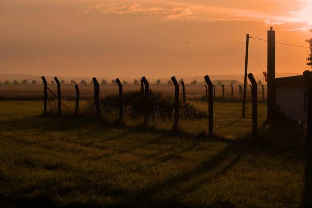 istock Sunset view over rural landscape with fence shadows. 2205849802