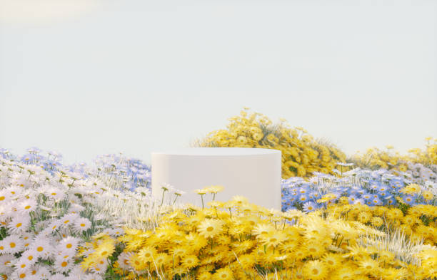 istock Abstract spring flowers landscape scene with white podium. 3d rendering. 2205849812
