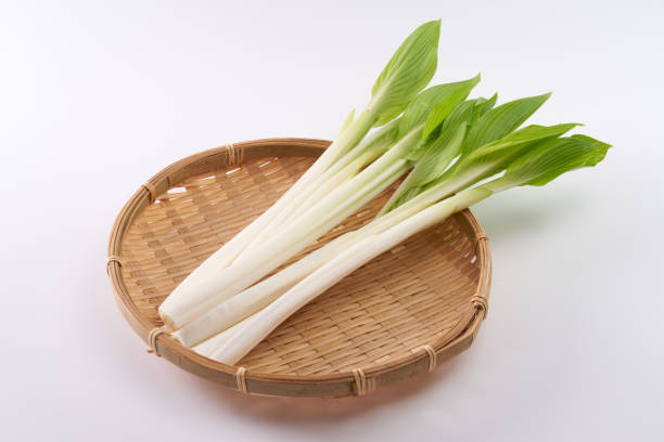 istock Image of Japanese wild vegetables ,  hosta grass 2205855063