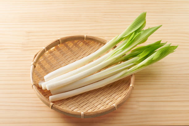 istock Image of Japanese wild vegetables ,  hosta grass 2205855094