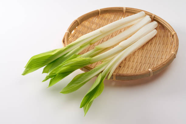 Image of Japanese wild vegetables ,  hosta grass