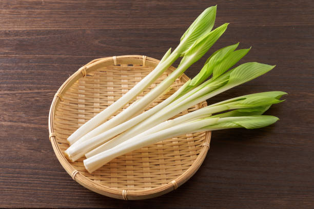 istock Image of Japanese wild vegetables ,  hosta grass 2205855113