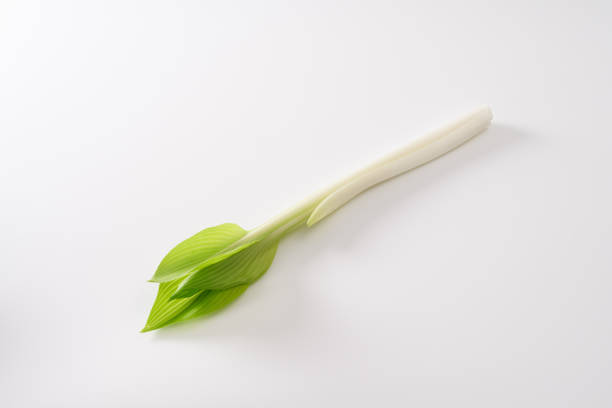 A visually balanced composition featuring fresh green onions arranged in parallel with wooden chopsticks on a white background. This minimalist food styling highlights the natural beauty of fresh ingredients, emphasizing Asian cuisine, plant-based diets, and healthy eating. The clean and modern presentation makes it ideal for culinary content, food photography, and nutrition-focused designs.