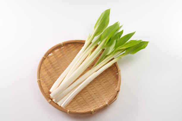 istock Image of Japanese wild vegetables ,  hosta grass 2205855139