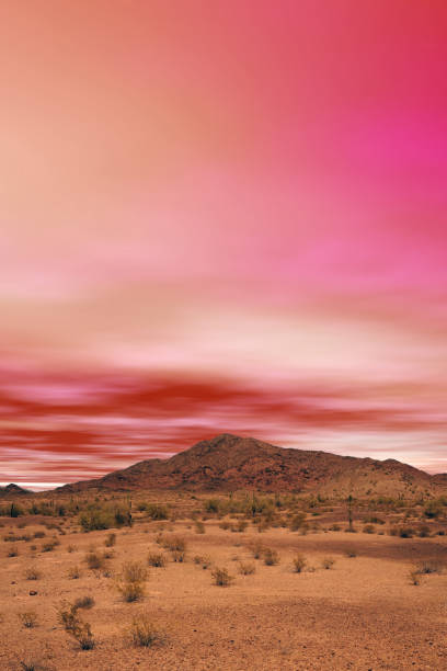 Expansive landscape Sonora desert in central Arizona USA on a early fall morning