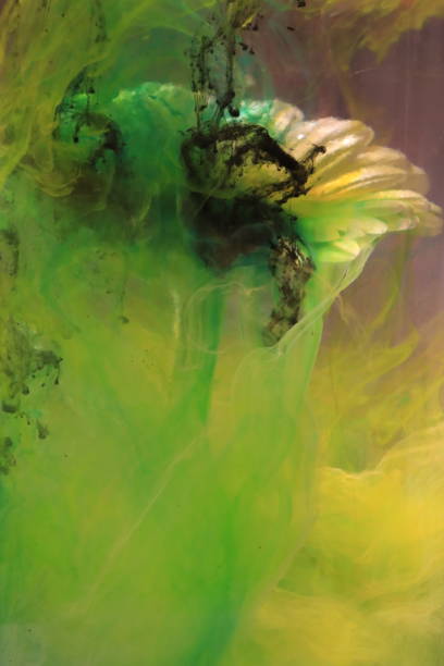 istock Colorful Ink Over Flowers 2205861980