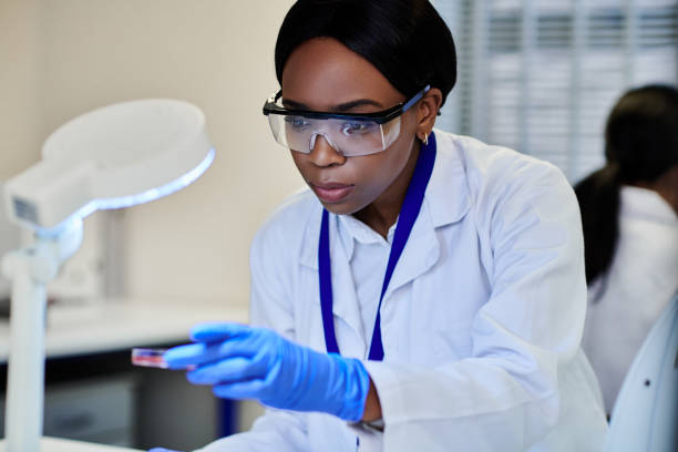 istock A young female scientists viewing a petri dish with bacteria under a viewing light 2205868023