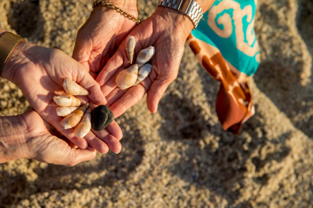 istock Hands with seashels found on the beach 2205869927