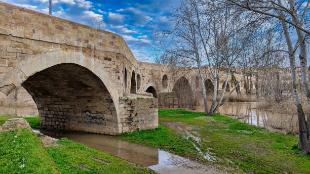 istock Stone bridge over Douro river. Zamora city, Castile-Leon, Spain 2205870008