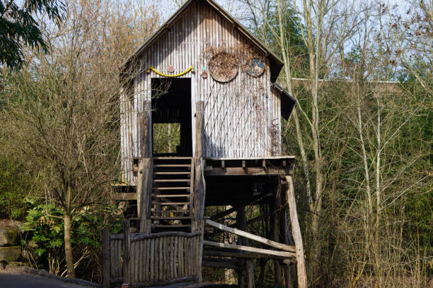 Asian rustic wooden treehouse elevated on stilts, surrounded by bare trees and foliage, with a wooden staircase leading up to it. The treehouse has a simple, natural design.