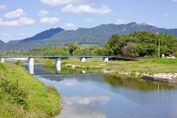 Scenic Bridge Over the Yeongsan River in Damyang