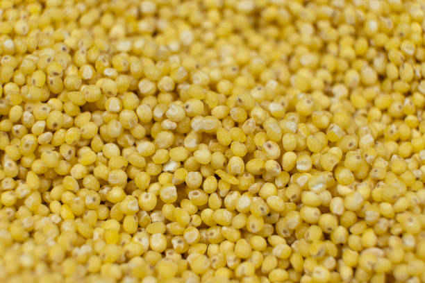 istock Uncooked organic raw millet grains close-up background 2205878891