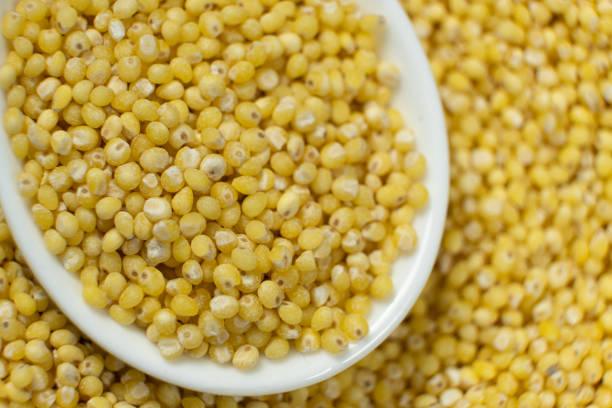 istock Healthy millet cereal grains macro top view 2205878892