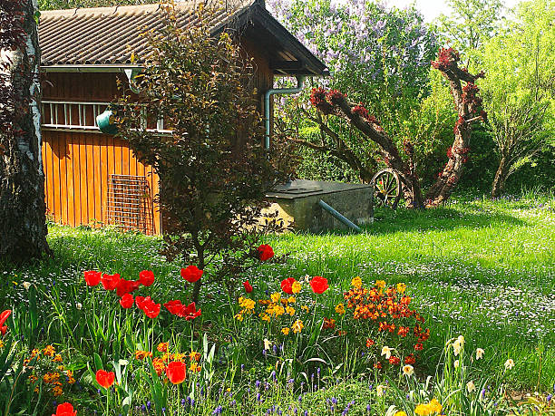 Marbach, Germany - 4/11/2024, garden house and meadow flowers in springtime, seen from the street