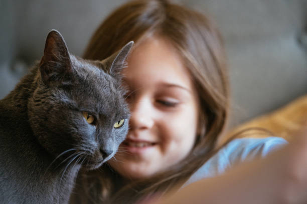 istock School girl enjoying time with Russian blue cat 2205881954