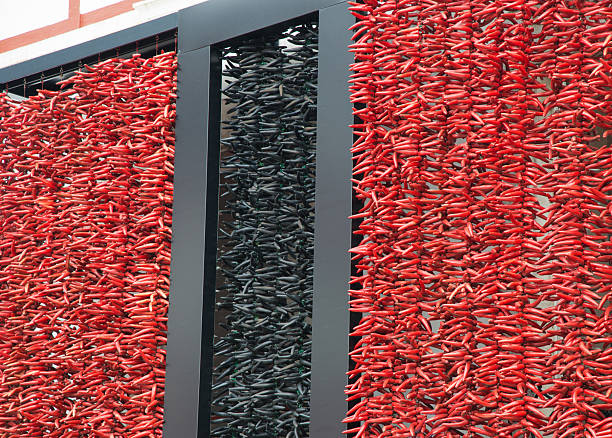 Backgrounds. Drying basque chili pepper in a row. Ornamental