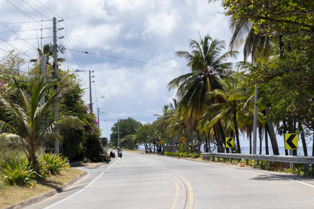 istock Road Along the Sea with Palm Trees 2205885842