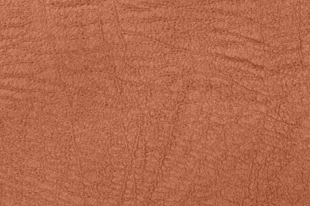 istock Brown suede leather texture background . Brown leather texture with fine grain and wrinkles. Quality natural background for fashion, upholstery design 2205885920