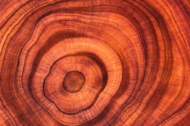 istock Wood plank to use as background and texture. 2205886566