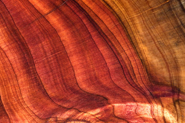 istock Wood plank to use as background and texture. 2205886574