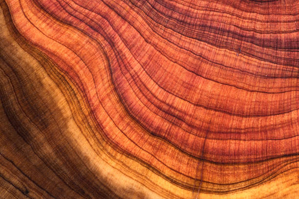 istock Wood plank to use as background and texture. 2205886584