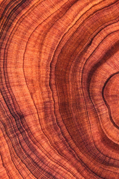 istock Wood plank to use as background and texture. 2205886596