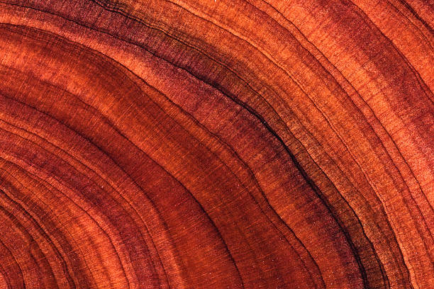 istock Wood plank to use as background and texture. 2205886598
