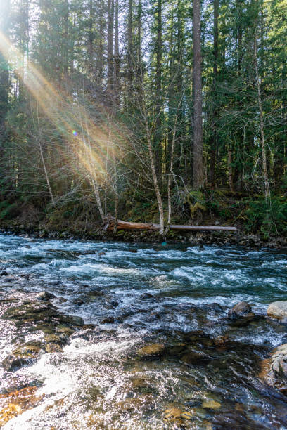 istock River Near Twin Falls Detailss 6 2205891711