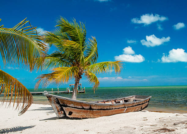 istock Islamorada Beach of the Florida Keys 2205894384