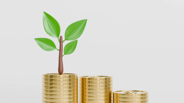 istock 3d model of a stack of coins and a tree sprout on a white background, profit and growth 2205896839