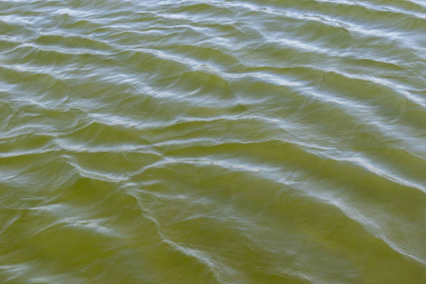 istock Ripples on green water surface, Wirral, Merseyside, England, Britain 2205901621