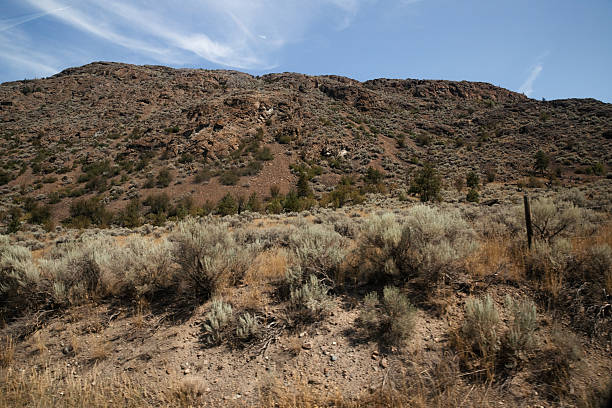 istock Desert landscape in Kamloops, BC, Canada. 2205903897