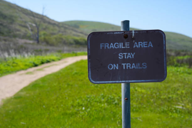 istock Fragile Area Trail Sign in Scenic Nature Reserve 2205905814