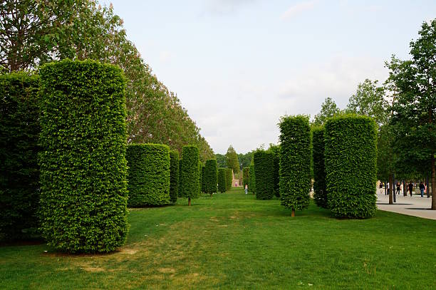 Russia, Krasnodar, April 29, 2024. A landscaped park with green spaces. Galitsky Park.