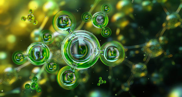 U.S. Ammonia Market Forecast: Global Growth Outlook till 2035 U.S. Ammonia Market Forecast: Global Growth Outlook till 2035