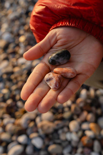 istock Hand Holding Colorful Pebbles on a Rocky Beach 2205912167