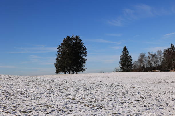 Februar 02, 2025, Sundern: Sunny winter day on the Wilde Wiese, a district of the city of Sundern in the Sauerland
