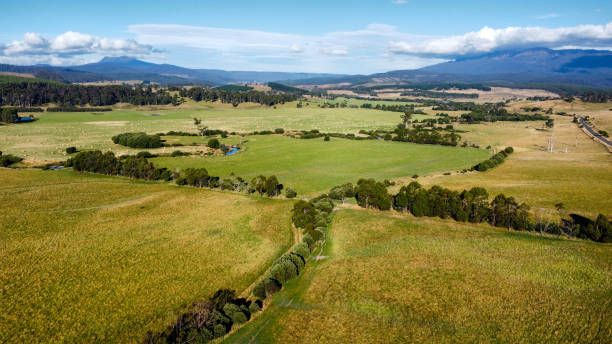 istock A winding road between lush green fields , seen from above 2205919590
