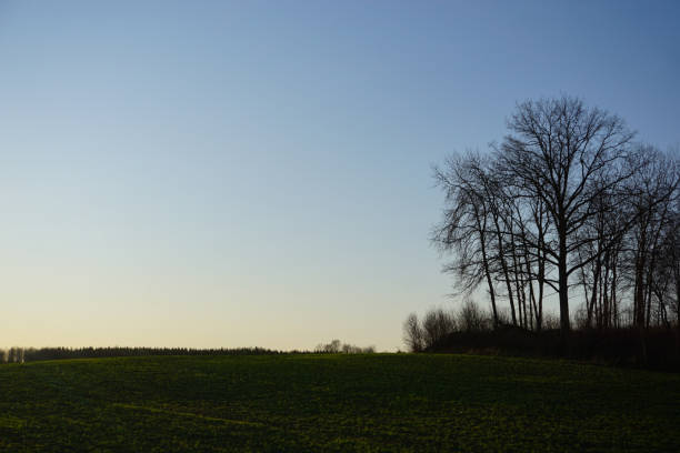 istock View of a field during evening 2205919990