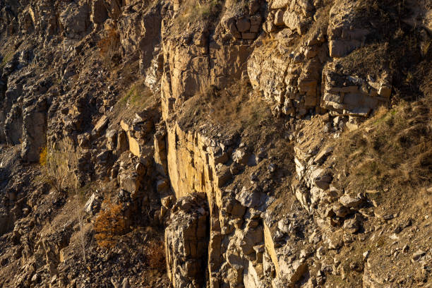 Rocky cliff with rough textures, golden sunlight, and sparse vegetation. The rugged terrain highlights natural erosion, with scattered dry plants and earthy tones dominating the landscape.