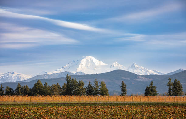istock Snow-capped mountains. Mount Baker over Blueberry Fields as seen from British Columbia Canada. 2205922069