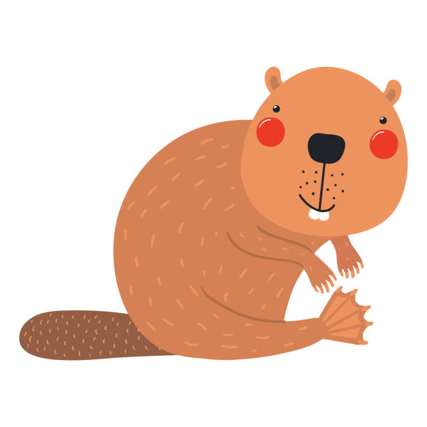 Cute cartoon beaver character illustration Cute cartoon beaver character illustration. Hand drawn Scandinavian style flat design, isolated vector. Wild animal, forest wildlife, woodland creature. Kids clip art, print element, banner, poster clip art of baby beaver stock illustrations