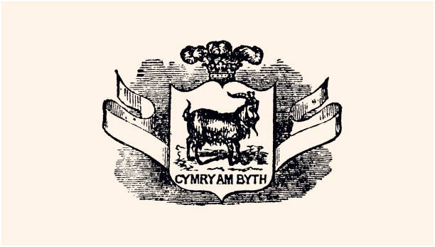 istock WALES DESIGN ELEMENT :  CYMRY AM BYTH  - WALES FOREVER xxxl 2205924879