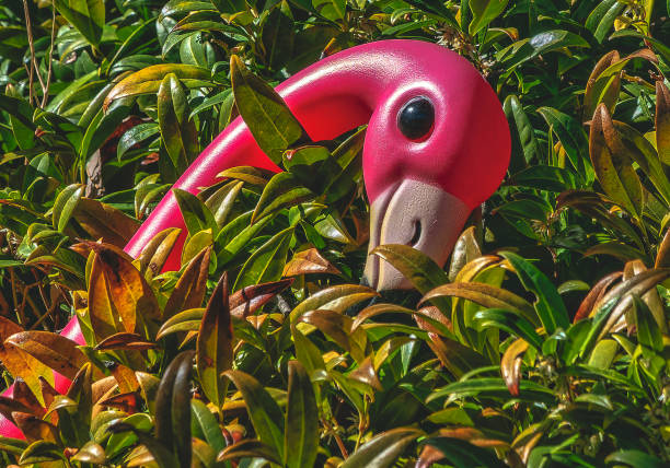 Pink Plastic Flamingo Against Pastel Background: Stylish Minimalist Stock Image