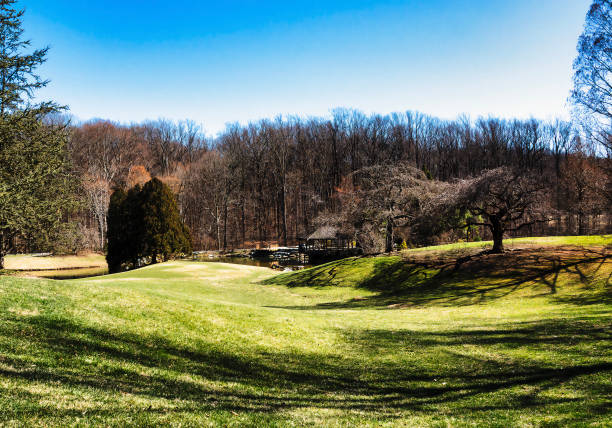 istock Rolling hills in a rural park 2205930328
