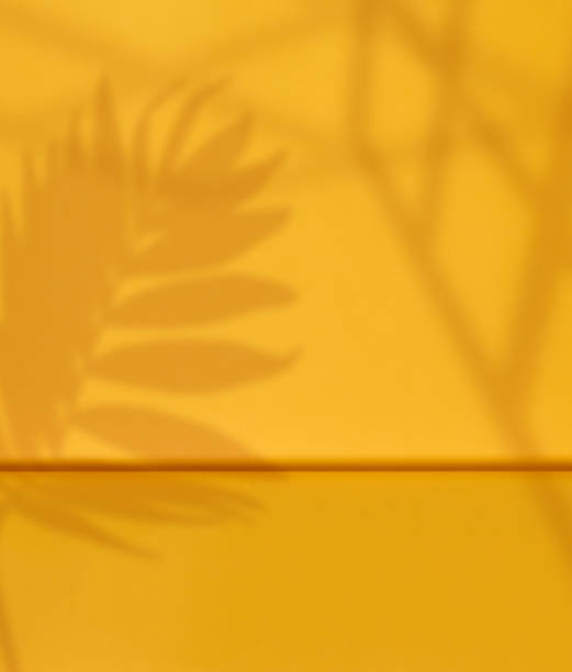 istock Yellow stage with shadow from a palm leaf for product demonstration and advertising. Copy space 2205936685