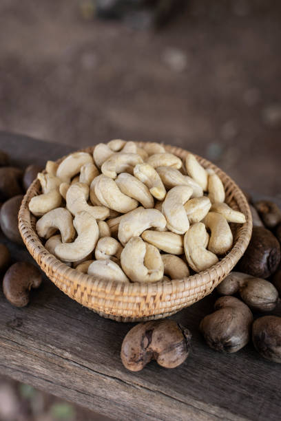 istock organic cashew nuts in cambodia farm 2205937222