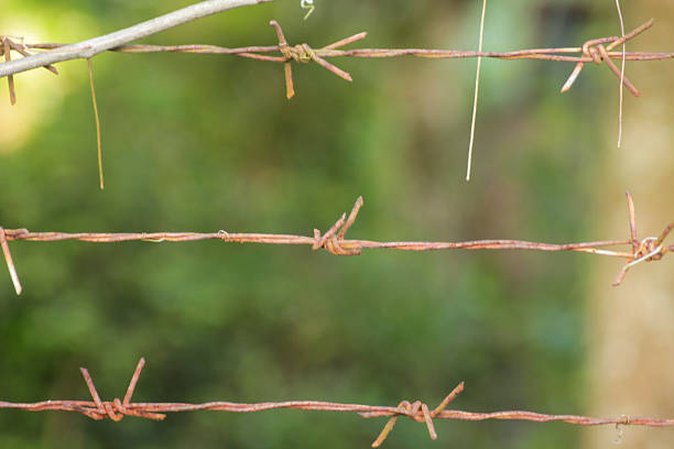 Close up of Barbed Wire wit a Blur Background